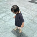 동백호수공원(광장) 이미지