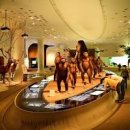 전곡 선사박물관 이미지