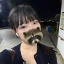 우연히헤어 - 속초시 | [군자역] “우연히 살롱” 퍼스널 헤어 후기