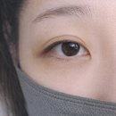 괴정1동 행정복지센터 | 대전 속눈썹 자연스럽게 잘하는 곳 괴정동 속눈썹 바나나브로우 눈매 또렷해지는 변화 후기