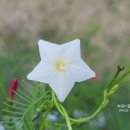 하양농업협동조합 이미지