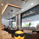 오셀롯 커피 트레이더스