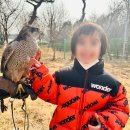 윤희유치원 이미지