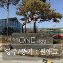 영주사 | 영주/풍기 카페 : 설 연휴에 가족 단위로 가기 좋은 카페 ‘원애그’ 내돈내산 솔직후기