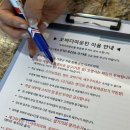 오버더마운틴 이미지