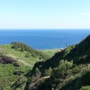 제주머물다 이미지