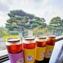 여주-1106 이미지