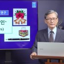 109. '엣세네인 이미지