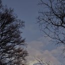 내일이 보름(보름달)이다. 재난을 쉬게 해주는 월광보살마하살 이미지