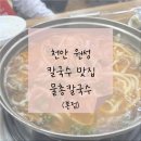 푸른초장어린이집 | 천안 원성동 칼국수 맛집 물총칼국수