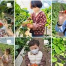 봄이네농장 이미지