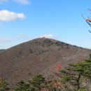 백두대간 20구간(도래기재-구룡산-신선봉-깃대배기봉-태백산-화방재) 이미지