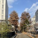 석관파출소 이미지