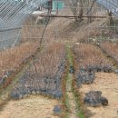 소양농장 이미지