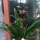 한성대농장 이미지