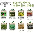 코스모네이처 - 대덕구 중리로 67-1 | 코스모네이처