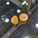 경화 카 정비세차 이미지