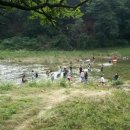 삼호민박 이미지