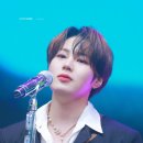 플레로마 이미지