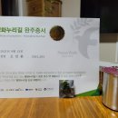 [DMZ평화의길] 16~17코스 고석정~화강
