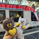 분수광장 관광안내소(비상설) | 하이델베르크 당일치기 추천｜프푸 출발 독일 감성 소도시 여행 완벽 루트