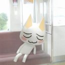 단정 신촌점 이미지