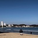푸른동해아구찜 이미지