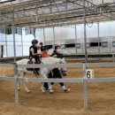 갈밭농장 이미지