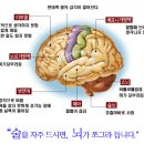 필름 끊기는 당신의 음주, 뇌에 미치는 영향 이미지