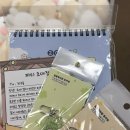 [서울]더현대 서울 데이트_가볼만한곳 추천_유미어스 토끼찡 곰돌찡 팝업_위치 및 웨이팅