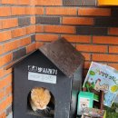 제주다차공간 이미지