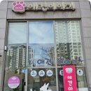 애견이야기 이미지