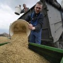 한은농장 이미지