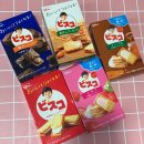 비스코코