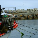 방어리 방지 이미지