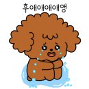 꾸꾸네친구들