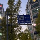 이대표정육 | 신중동역맛집 이대표감자탕 묵은지감자탕 후기