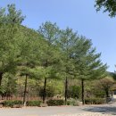 고산자연휴양림 관리사무소 이미지