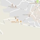 Cat garden 이미지