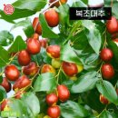 진명농원 이미지