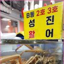성진식당 | 대포동 횟집 찾다가 감탄했던 속초 대게세트 맛집 성진활어 후기