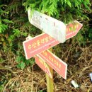 돌산가축 이미지