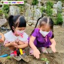 은어송유치원 이미지