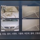 레디젯코리아 이미지