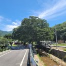 은비치농장 이미지