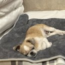 펜션누리 이미지