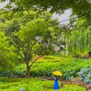 웰빙방앗간 이미지