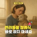 늘푸른 축산 | 반려동물 죽은 후, 장례식 절대 바로 하지 마세요. 합법 광주 전남 반려동물장례식장 정보, 운영 시간