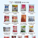 오징어pc방 이미지