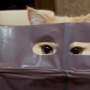 읍성로-1 이미지